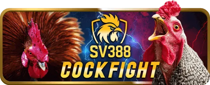 Top trò chơi được yêu thích nhất tại VS388 Link